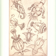 Seven_viruses_card