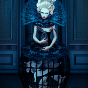 Doves_card
