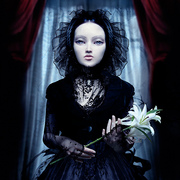 Isabella_card