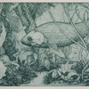 Deepsea_thumb