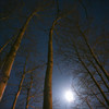 Dsc01449-1_thumb