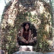 Cocoon_card