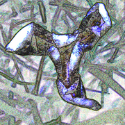 Flower_5s_card