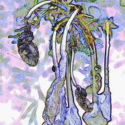 Flower_2s_card