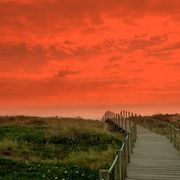 Ame_0080-750_card