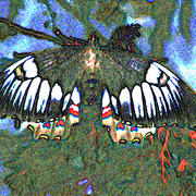 Butterfly_1s_card