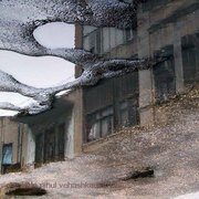Y_reflection_-street_in_puddle_card