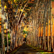 On_the_road1-700_card