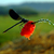Dscf7999_tiny_square
