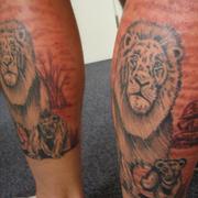 Lion_card