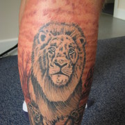 Lionfront_card