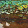 Lotus_pond_2________________90_x_90_cm_thumb