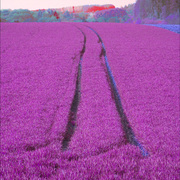 Hope_card