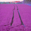 Hope_thumb