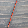 Rescue_thumb