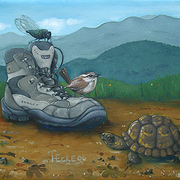 Back_to_nature_380_card