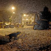 Neve_golosine_152_card