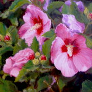 P8070017_card