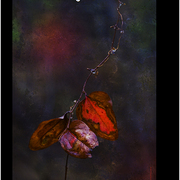 Rainy_day_moods_card