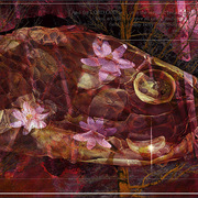 Garden_of_eden_card