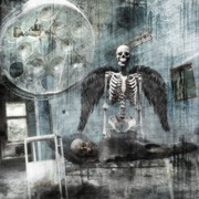 Autopsy666_card