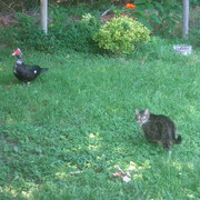 Picture_1836_card