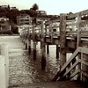 Maraetai_pics_016_thumb