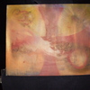 Brown_cross_thumb
