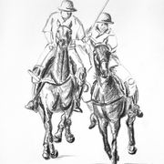 Polo2__2_horses__card