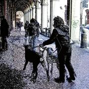 1111_049bis_card