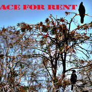 Space_for_rent_card