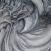 Dsc01486_square