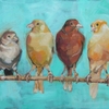 Canaries_thumb
