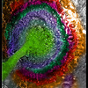 1525501_thumb
