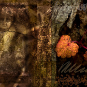 New_endings_card
