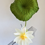 Ikebana-142_card