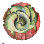 08_card