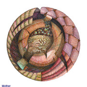 05_card