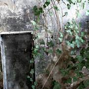 Img_7356-ad_card
