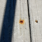 Dsc_0039_card