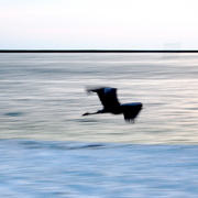 Dsc_0107_card