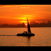 I_want_to_go_back_to_jamaica_card