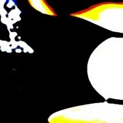 Mod221_card
