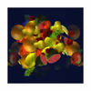 Obststilleben_w_jpg_thumb