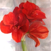 Foto_pentru_lucru_183_card