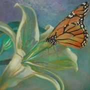 Butterfly_card