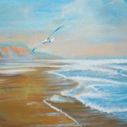 Seagull_and_seascape_card