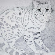 Housecat_card