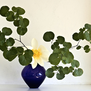 Ikebana-058a_card