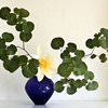Ikebana-058a_thumb